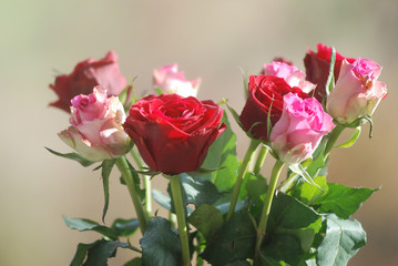 Bouquet de roses