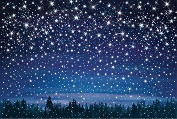 Vector  night starry sky and  forest background.