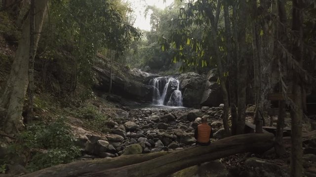 aerial shot man sitting on death tree in front of waterfall in tropical forest at early morning slow camera movement