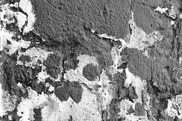 Wall fragment with attritions and cracks