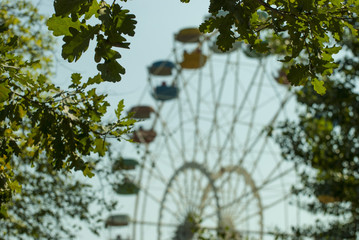 Колесо-аттракцион среди листьев