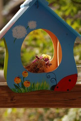 Лучи в разноцветной скворечнице