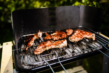 Grilled meat, barbecue. Spring time.