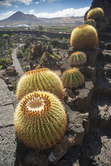 Jardín de Cactus a Lanzarote, Isole Canarie