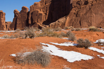 Red Desert Winter