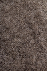 back side of the skin, texture of wool