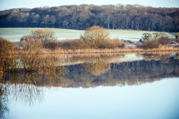 Beautiful reflections in a winter-flooded valley