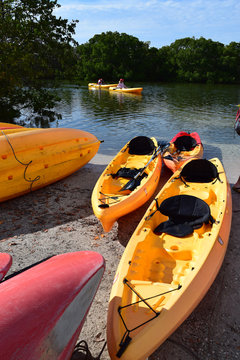 Group of orange kayaks on shoreline, sunny day.