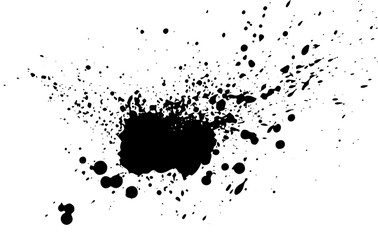 Black paint, ink splash, brushes ink droplets, blots. Black ink splatter grunge  background, isolated on white. Vector illustration