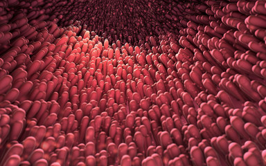 Obraz premium 3d illustration of microscopic closeup of intestine villus