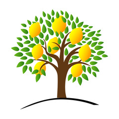 Lemon tree with green leaves. Vector illustration of a tree with ripe lemons. Flat style.