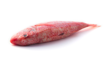 Rouget - Poisson frais