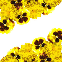 Beautiful floral background of pansies and rudbeckia 