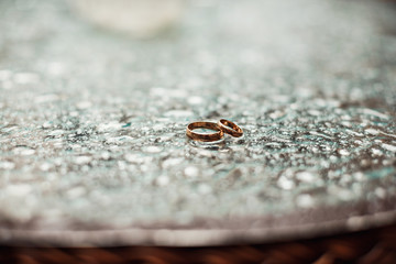 Gold wedding rings between drops