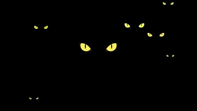 Dangerous yellow wild cat eyes in darkness