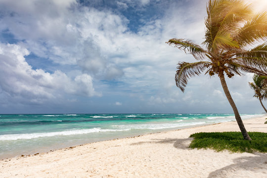 Der tropische Strand von Tulum, Mexiko, mit türkisem Meer und Koskonuss Palmen
