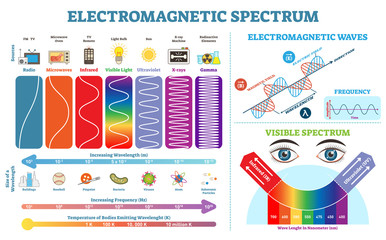 Full Electromagnetic Spectrum Information collection, vector illustration diagram with wave lengths, frequency and temperature. Electromagnetic wave structure scheme. Physics infographic elements. - obrazy, fototapety, plakaty