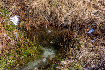 Small spring and puddle in the forest, with the garbage in water. Touristic pollution