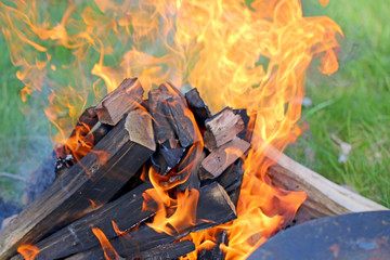 burn firewood on fire, a picnic in the nature