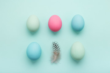 Minimal set of eggs and quail feather on turquoise background.