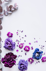 blossoming flowers (carnations,mattiolas, eustoma) in purple colors chaotically thrown on the grey background