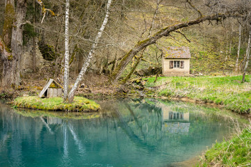 Am Hasenbach, bei Schloß Ehrenfels in der Nähe von Hayingen (Germany) 