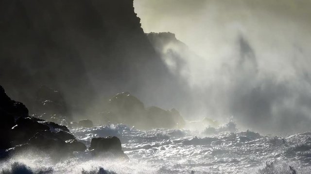Large ocean waves roll into the coast of Hawaii and break on the shore.