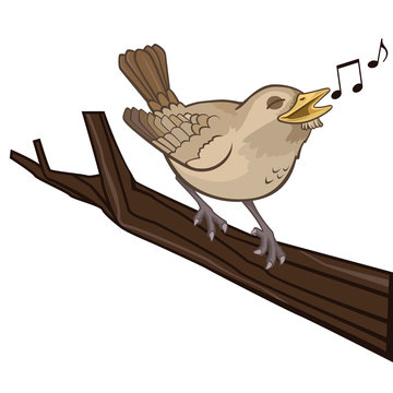 recommend clip art: Cute Nightingale Singing on a Branch Vector Cartoon Illustration Isolated on White