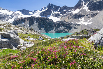 Wedgemount Lake and its saturated turquoise waters, Wedge Mountain and Alpine flowers, Whistler, BC