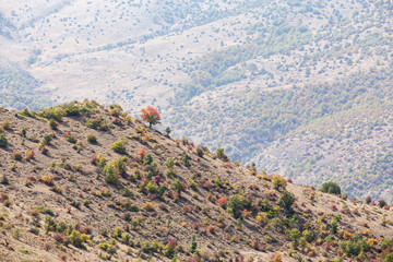 Obraz premium Roudbarak, Semnan, Iran
