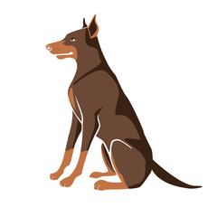 Doberman sitting on his hind legs