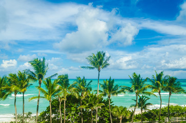 Obraz na płótnie Canvas Tropical Miami Beach Palms near the ocean