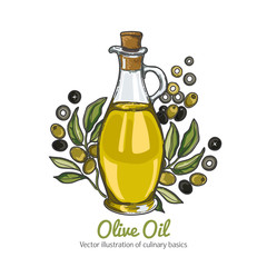 illustration with a olive oil, olive branch and olive tree berries, glass oil vessels.