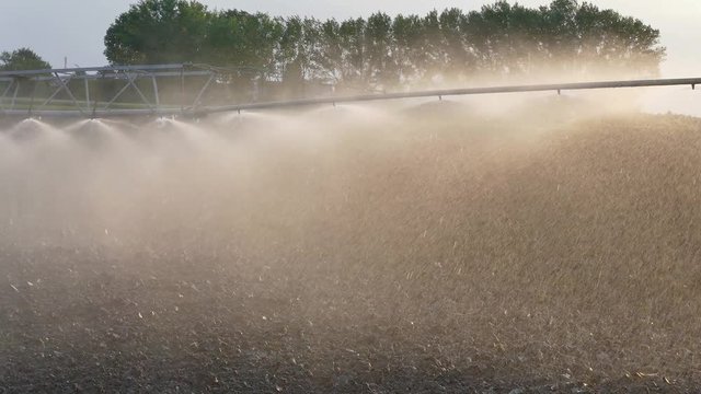 Watering of cultivated field in early spring, irrigation equipment spraying water, zoom in footage