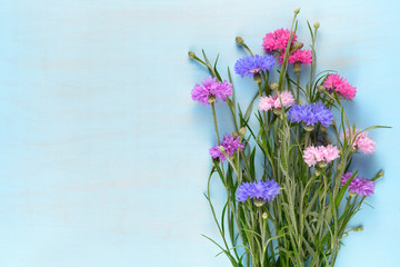 Cornflowers on blue background