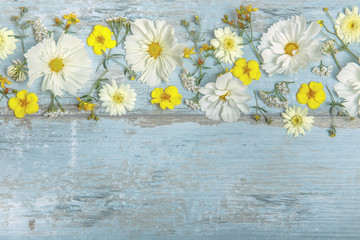Composition, frame cosmea, cosmos on blue boards. Yellow white flowers on handmade wooden table background. Backdrop with copy space, flat lay, top view. Mother's, Women's, Easter, Wedding Day concept