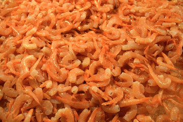 In and around the Rialto Fish and Fruit Market, Venice, Italy, featuring Fresh Fish and Fruits...