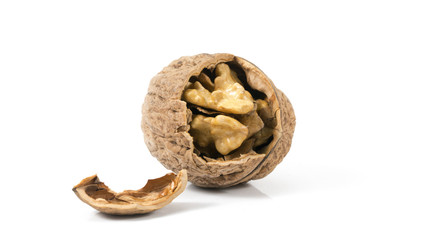 walnut on white background