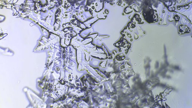 formation of snowflakes from water drops