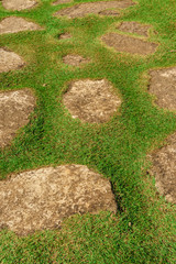 trail of flat stones and green grass