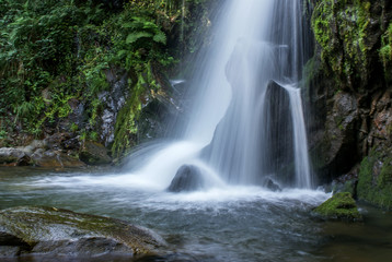 Sever do Vouga, Portugal	