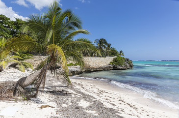 Spotts Beach Stone Wall