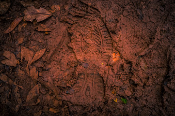 Muddy boot print on a walking track