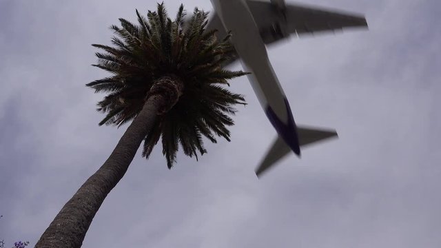 A nice low angle of a palm tree as a generic plane lands silhouetted against the sun in California.