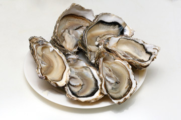 Open Oysters