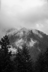 Fototapeta na wymiar Foggy Black and White Cliffs in the Columbia River Gorge