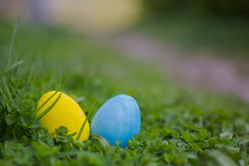 Yellow and white Easter eggs on the leaves of the clover. Easter background. Celebration of Easter in Ukraine.