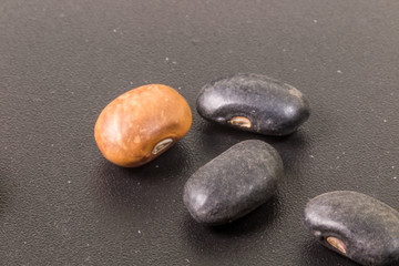 Super macro of black and brown beans on black background