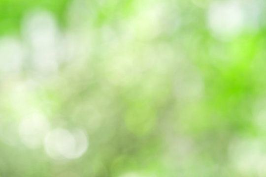 Green blurred background and sunlight with bokeh,  spring season.