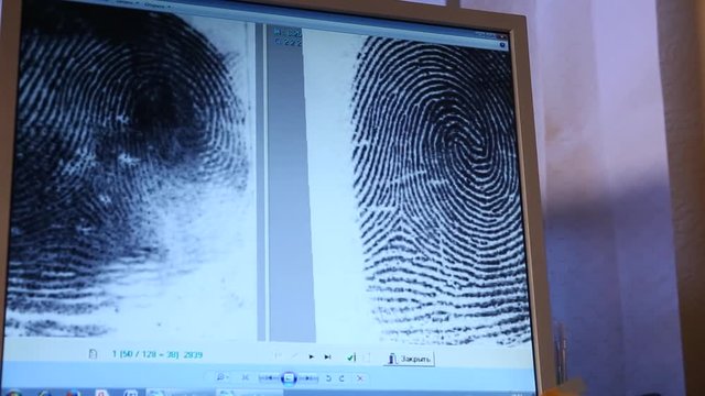 Woman expert look at fingerprint on computer screen
